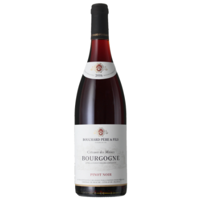 Bourgogne Pinot Noir - Côteaux des Moines 2019 - Bouchard Père & Fils