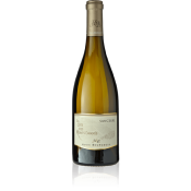 Henri Bourgeois - Sancerre blanc - La Côte des Monts Damnés 2020