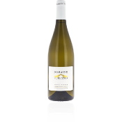 Corse - Sartène - Domaine Fiumicicoli blanc 2021 - Vin Biologique