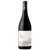 Domaine Gayda - Pays d'Oc - Syrah 2022